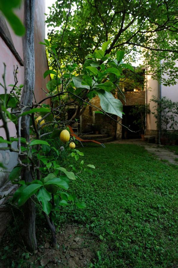 Traditional Istrian Stone House Smarje  Exterior photo