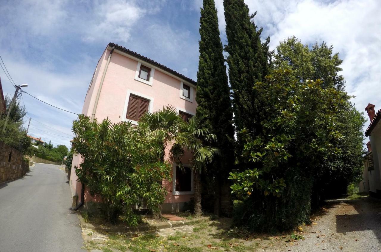 Traditional Istrian Stone House Smarje  Exterior photo